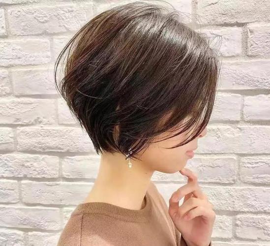 兰州水墨丹霞景区新年温情不断