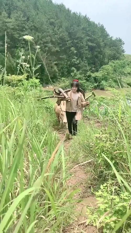 善用骑兵作战的谢彦章为敌所惮，最终却惨遭伏