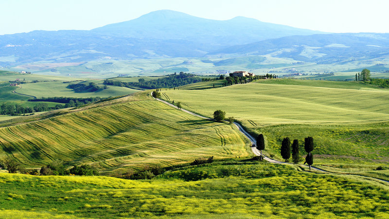 四川2023高考状元