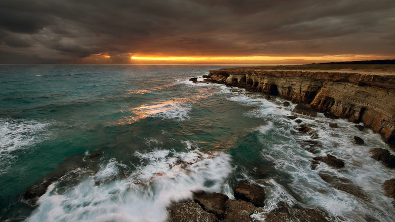 史前巨型动物如猛犸象、披毛犀等能曾是机会主义的杂食性动物