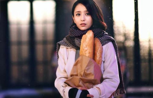 鹌鹑怎么分公母